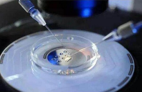 試管嬰兒胚胎著床失敗的原因分析