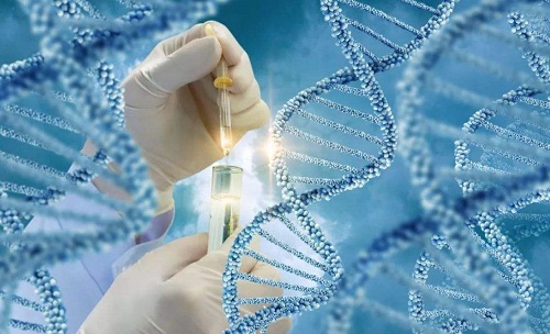 試管嬰兒移植后不能信的謠言：完全躺床休息