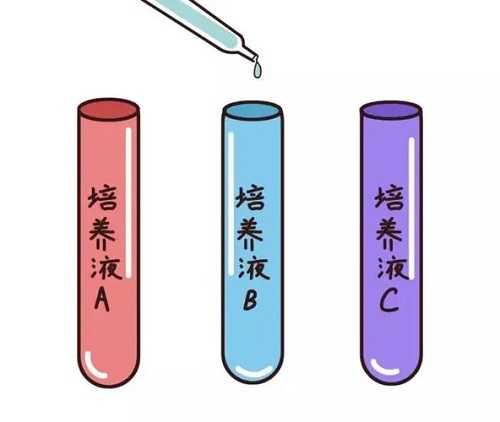 2018赴泰試管必備攻略大全