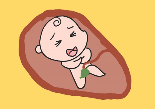 試管嬰兒移植后是否可吃生菜