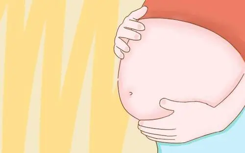 試管嬰兒移植前怎么調理身體？