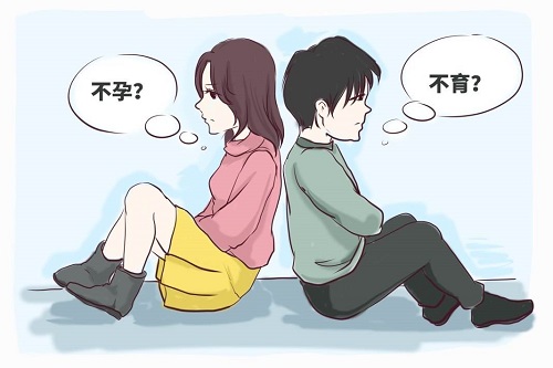 試管嬰兒移植胚胎還是胚囊好，移植注意什么