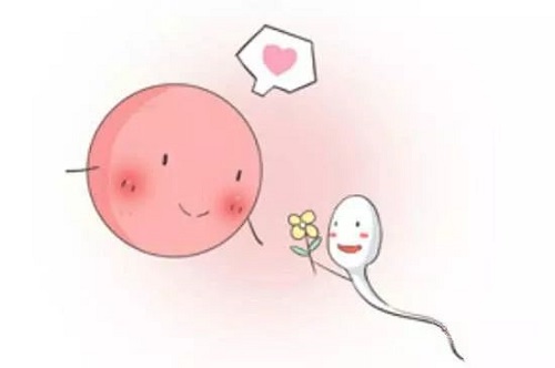 試管嬰兒和普通孩子的有什么區(qū)別